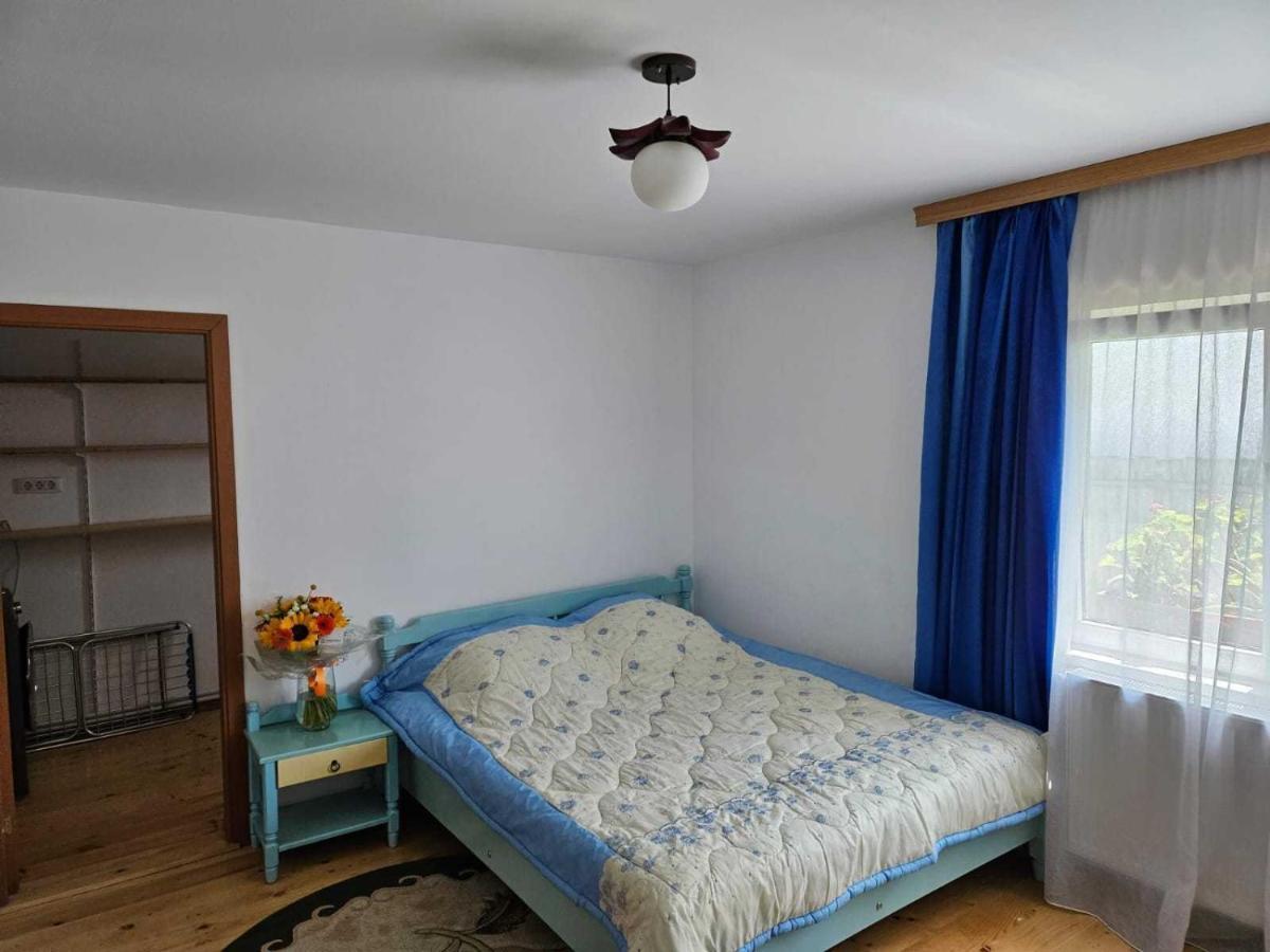 Muzicii 11 - Cozy Seaside Apartments 那沃达利 外观 照片