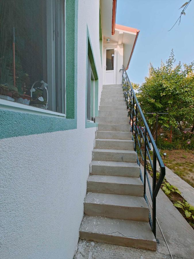 Muzicii 11 - Cozy Seaside Apartments 那沃达利 外观 照片